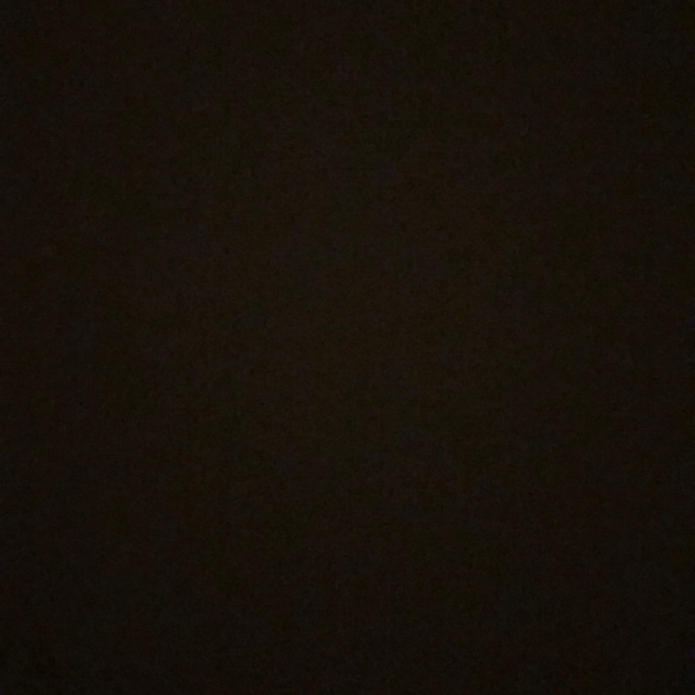 Meet your Posher, Shelby